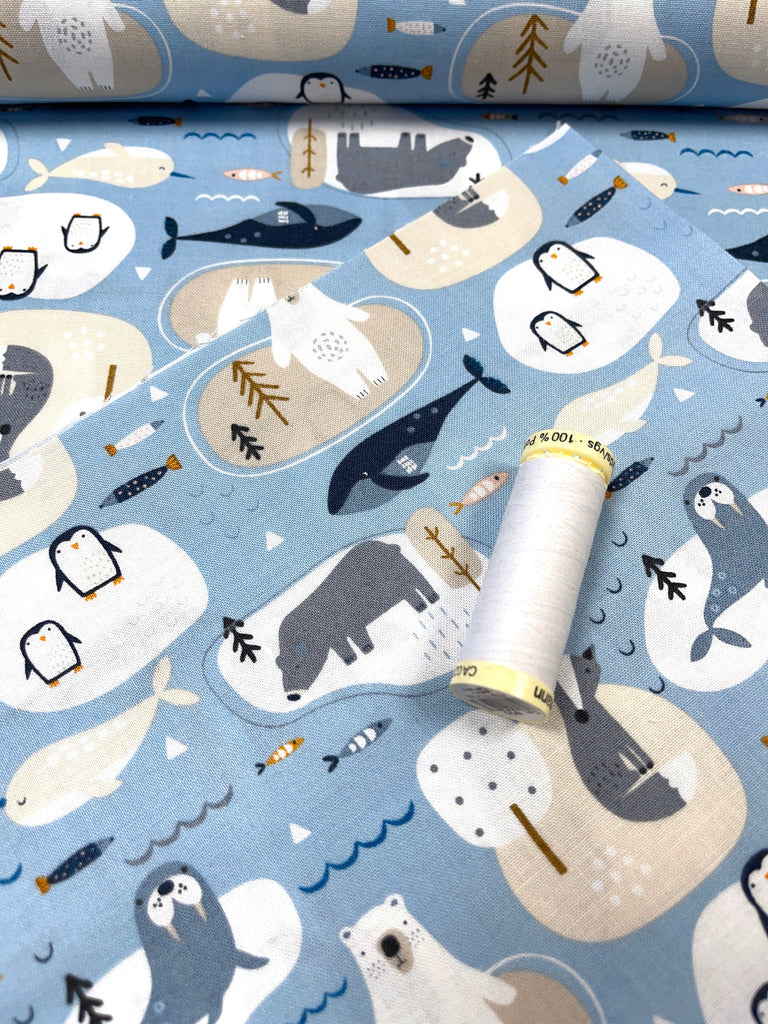 Habitat - Artic Animals