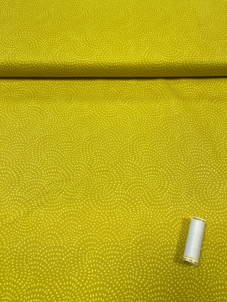 Dashwood Twist - Apple