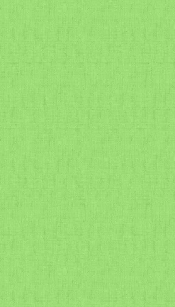 Linen Texture - Pistachio