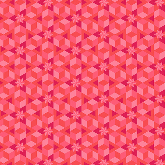 Diving Board - Starfish - Coral