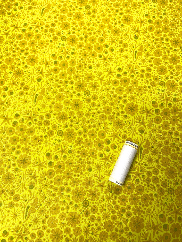 Diving Board - Reef - Algae