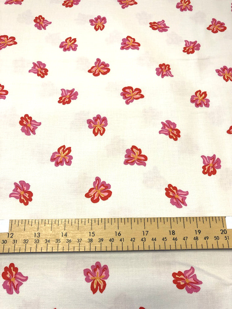 Nordic Garden Dream - Sverdlilje - White (Iris) - Craftyangel