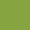 Tula Pink Dragons Breath - Matcha