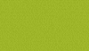 Sun Prints 2019 - Path - Conifer - Lime Green - Craftyangel