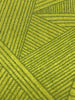 Quantum - Petri - Iguana - Green - Craftyangel